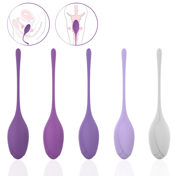 EmberIntimacy's Phoenix - The 5-Stage Pelvic Floor Training & UV Sanitizer Set