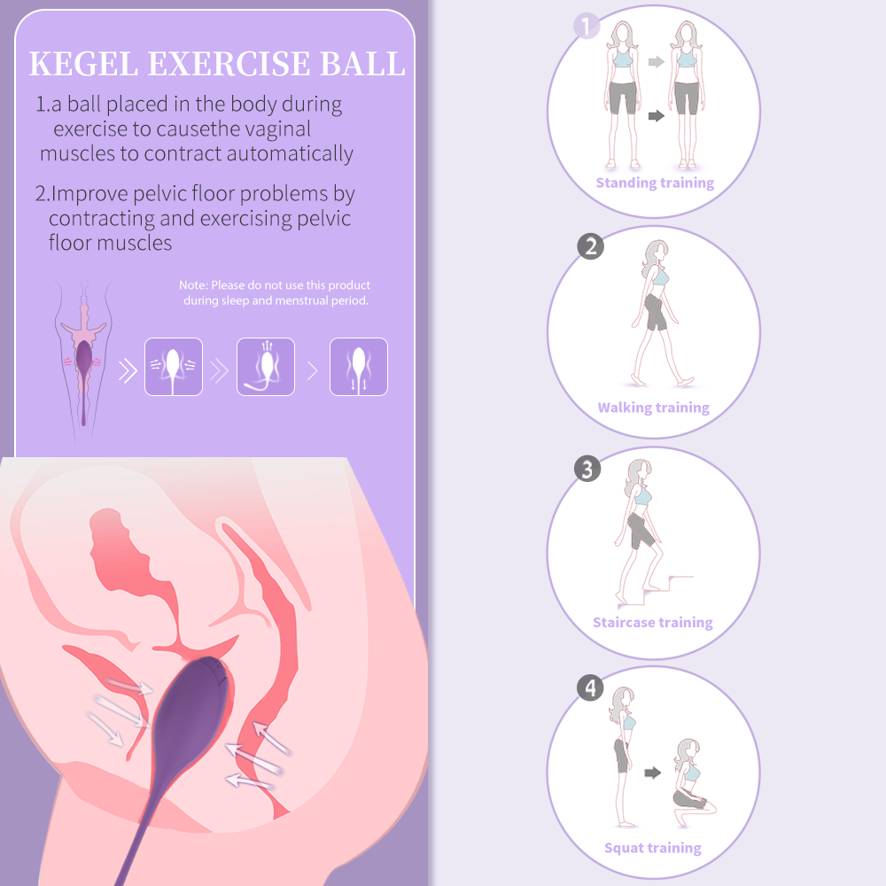 EmberIntimacy's Phoenix - The 5-Stage Pelvic Floor Training & UV Sanitizer Set