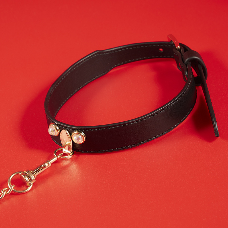 EmberIntimacy Devotion Leather Collar & Leash