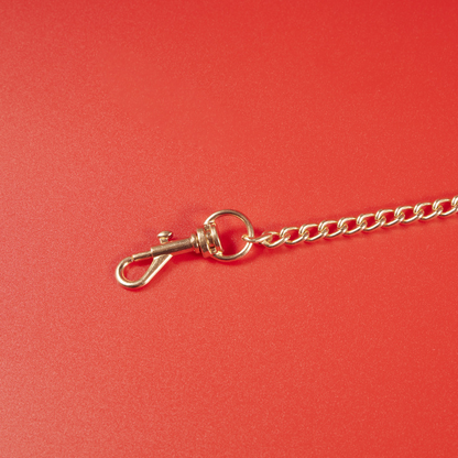 EmberIntimacy Devotion Leather Collar & Leash