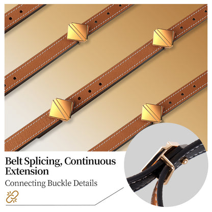 LOCKINK Colloportus "Gate of Shackles" Multi-Functional Bondage Belt Set