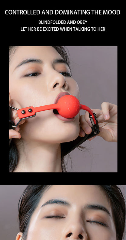 LOCKINK Colloportus "Gate of Shackles" 2-in-1 Interchangeable Gag Set