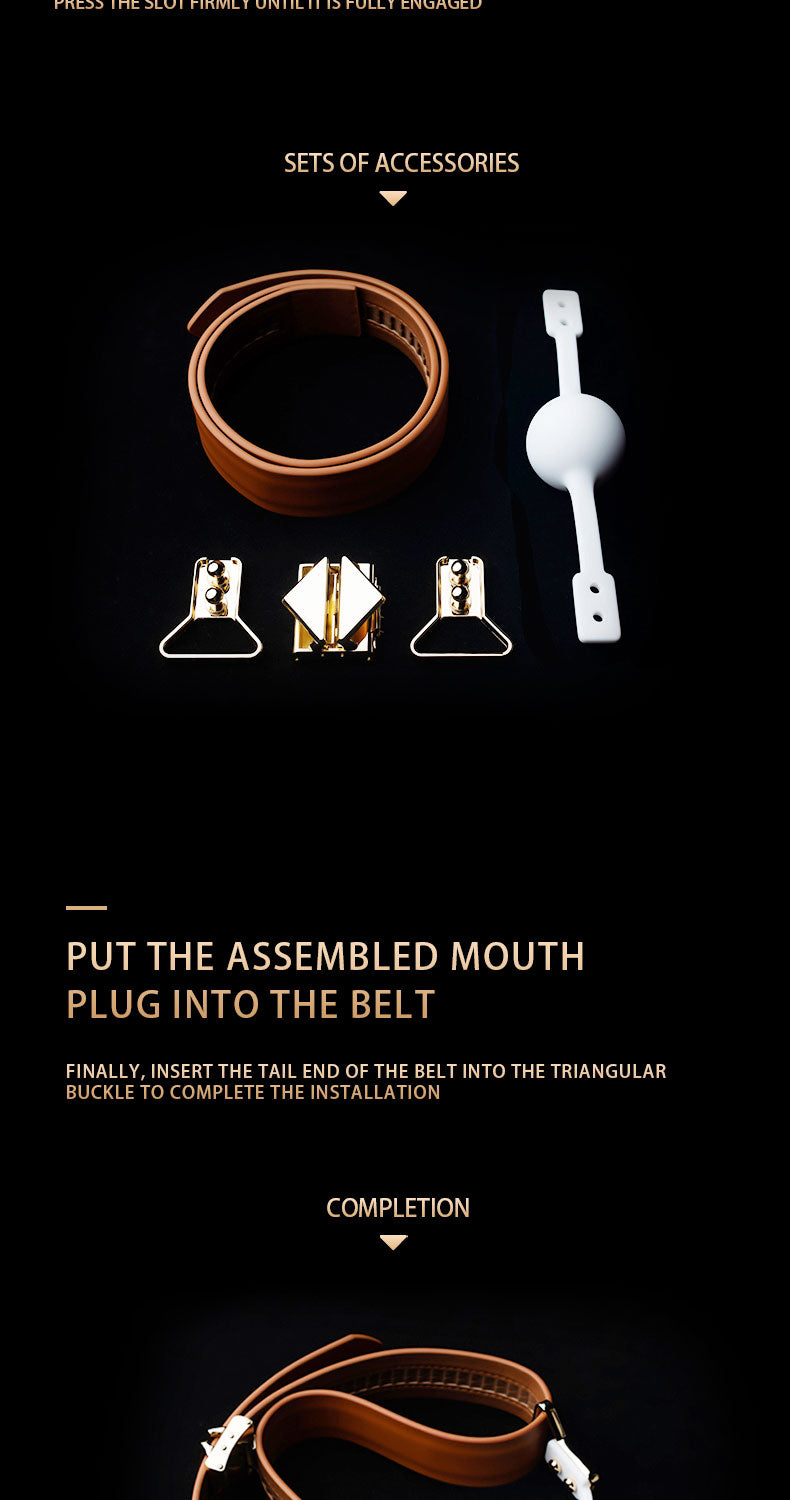 LOCKINK Colloportus "Gate of Shackles" 2-in-1 Interchangeable Gag Set
