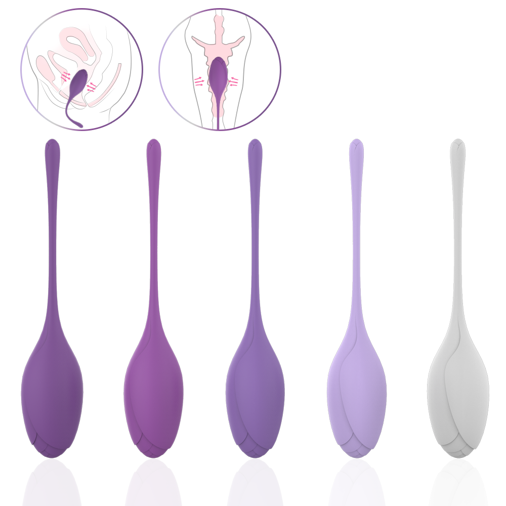 EmberIntimacy's Phoenix - The 5-Stage Pelvic Floor Training & UV Sanitizer Set
