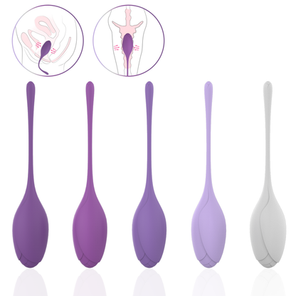 EmberIntimacy's Phoenix - The 5-Stage Pelvic Floor Training & UV Sanitizer Set