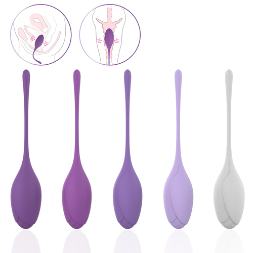 EmberIntimacy's Phoenix - The 5-Stage Pelvic Floor Training & UV Sanitizer Set