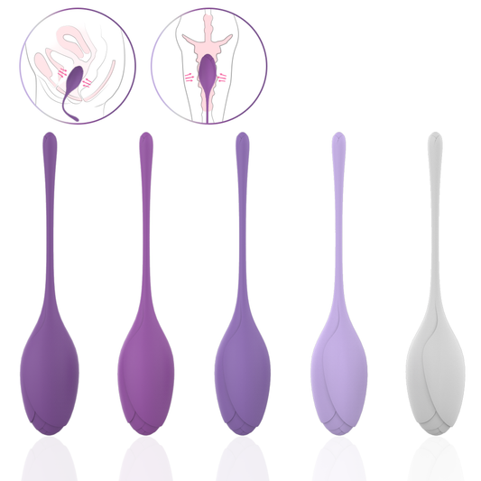 EmberIntimacy's Phoenix - The 5-Stage Pelvic Floor Training & UV Sanitizer Set
